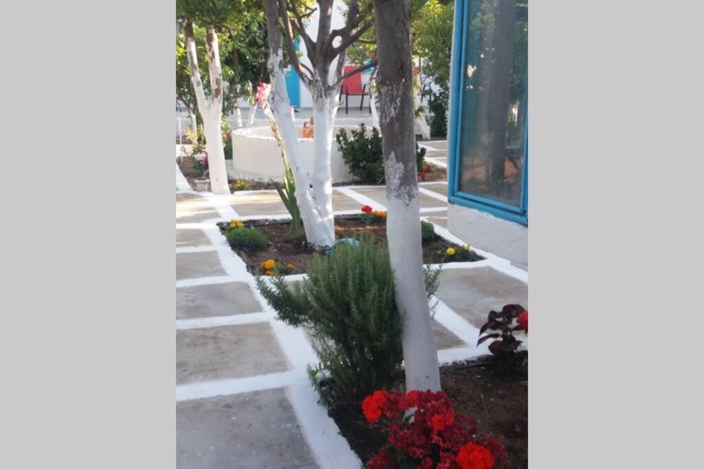 Perivoli 4-Chora Διαμέρισμα Αγγίδια Εξωτερικό φωτογραφία