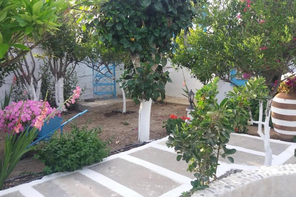 Perivoli 4-Chora Διαμέρισμα Αγγίδια Εξωτερικό φωτογραφία