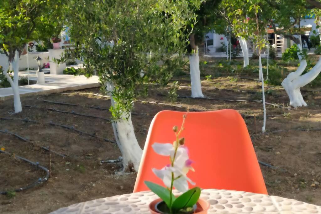 Perivoli 4-Chora Διαμέρισμα Αγγίδια Εξωτερικό φωτογραφία