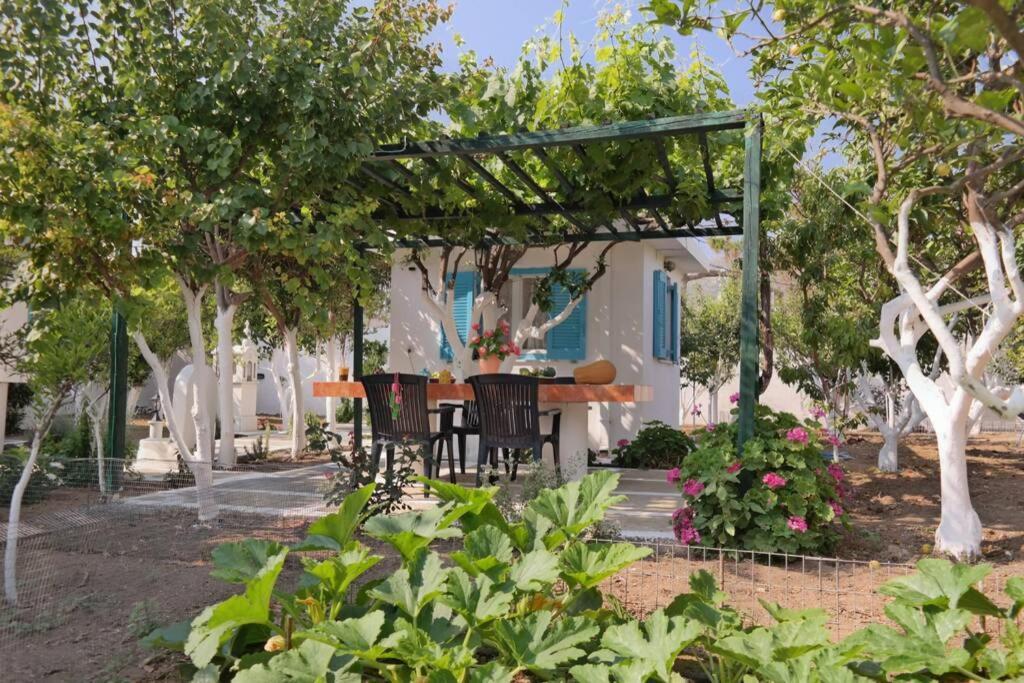 Perivoli 4-Chora Διαμέρισμα Αγγίδια Εξωτερικό φωτογραφία