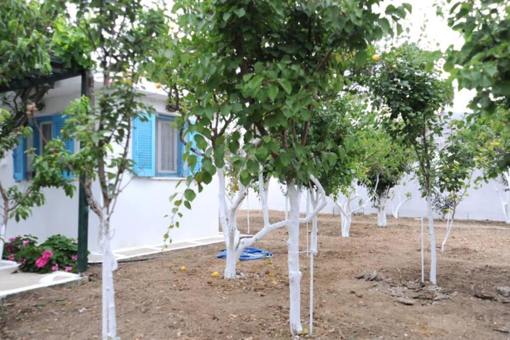 Perivoli 4-Chora Διαμέρισμα Αγγίδια Εξωτερικό φωτογραφία