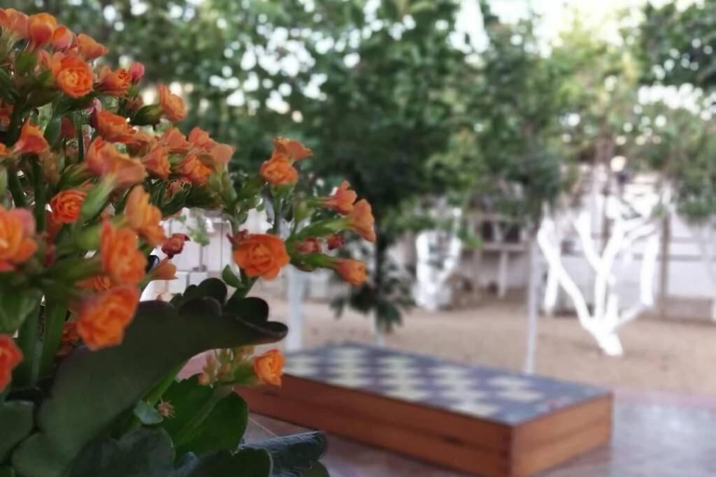 Perivoli 4-Chora Διαμέρισμα Αγγίδια Εξωτερικό φωτογραφία