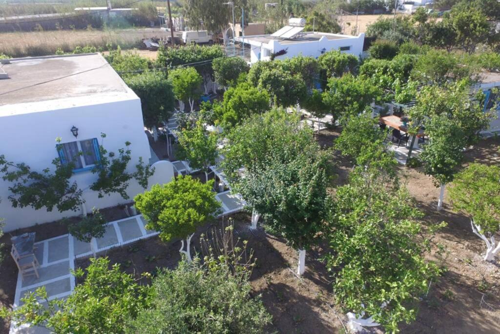 Perivoli 4-Chora Διαμέρισμα Αγγίδια Εξωτερικό φωτογραφία
