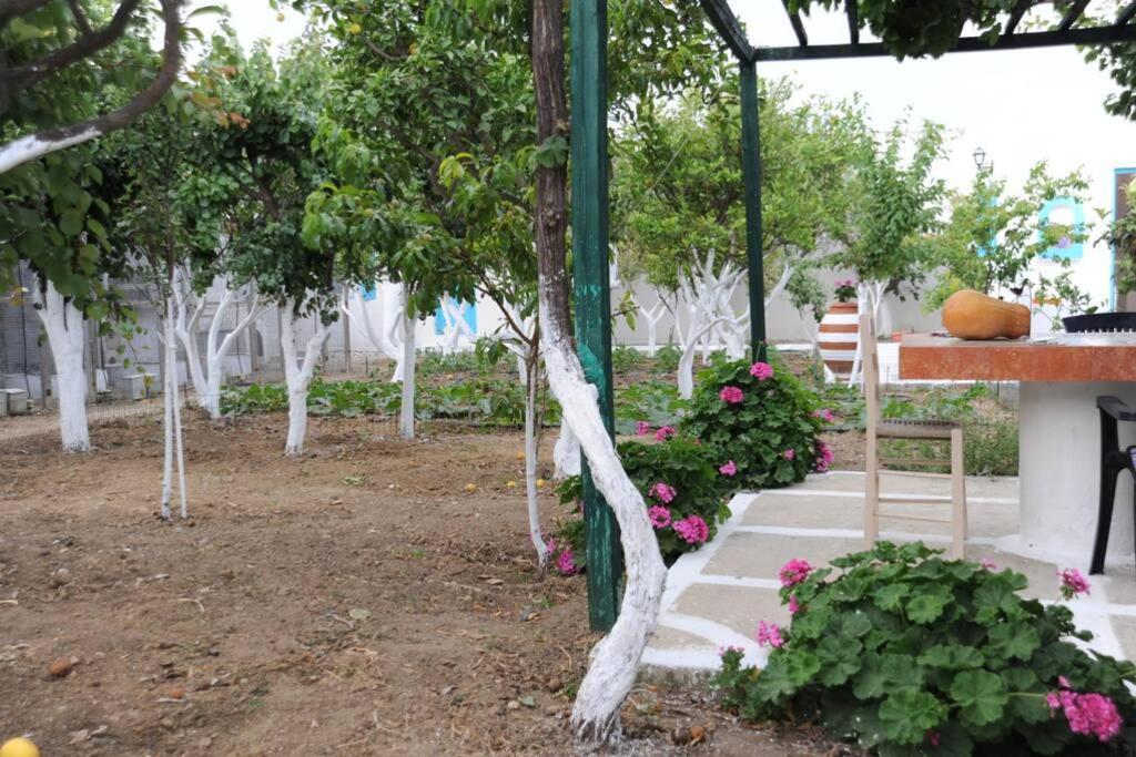 Perivoli 4-Chora Διαμέρισμα Αγγίδια Εξωτερικό φωτογραφία