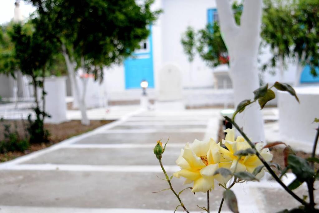 Perivoli 4-Chora Διαμέρισμα Αγγίδια Εξωτερικό φωτογραφία