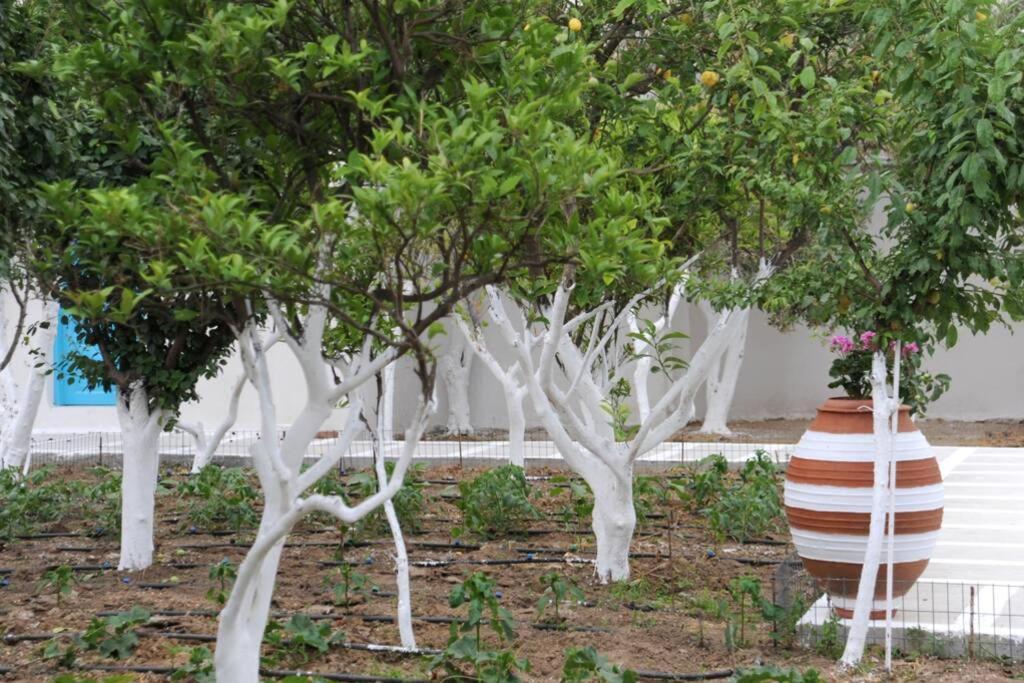 Perivoli 4-Chora Διαμέρισμα Αγγίδια Εξωτερικό φωτογραφία