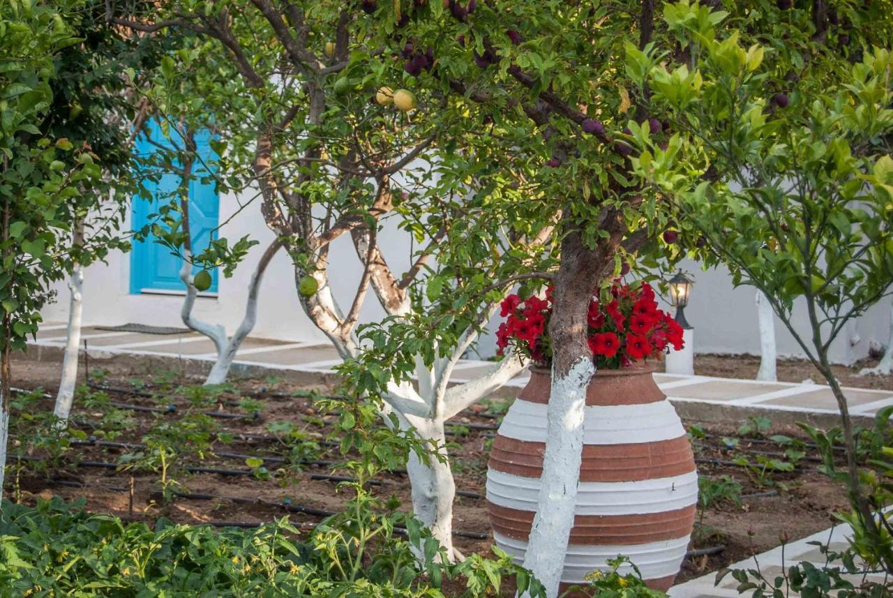 Perivoli 4-Chora Διαμέρισμα Αγγίδια Εξωτερικό φωτογραφία