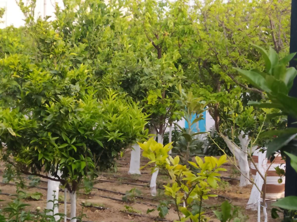 Perivoli 4-Chora Διαμέρισμα Αγγίδια Εξωτερικό φωτογραφία